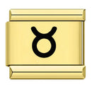 Zodiac Sign Charm