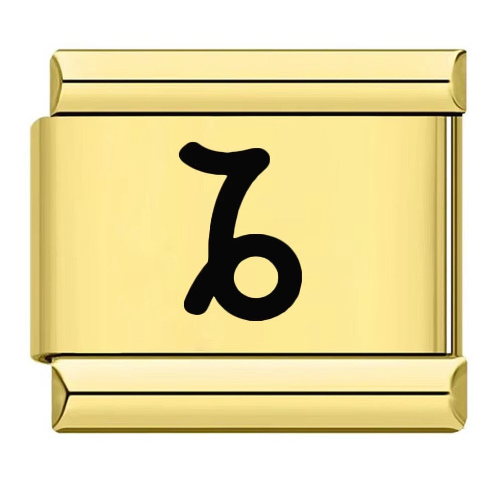 Zodiac Sign Charm