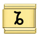 Zodiac Sign Charm