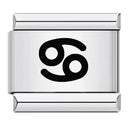 Zodiac Sign Charm