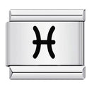 Zodiac Sign Charm