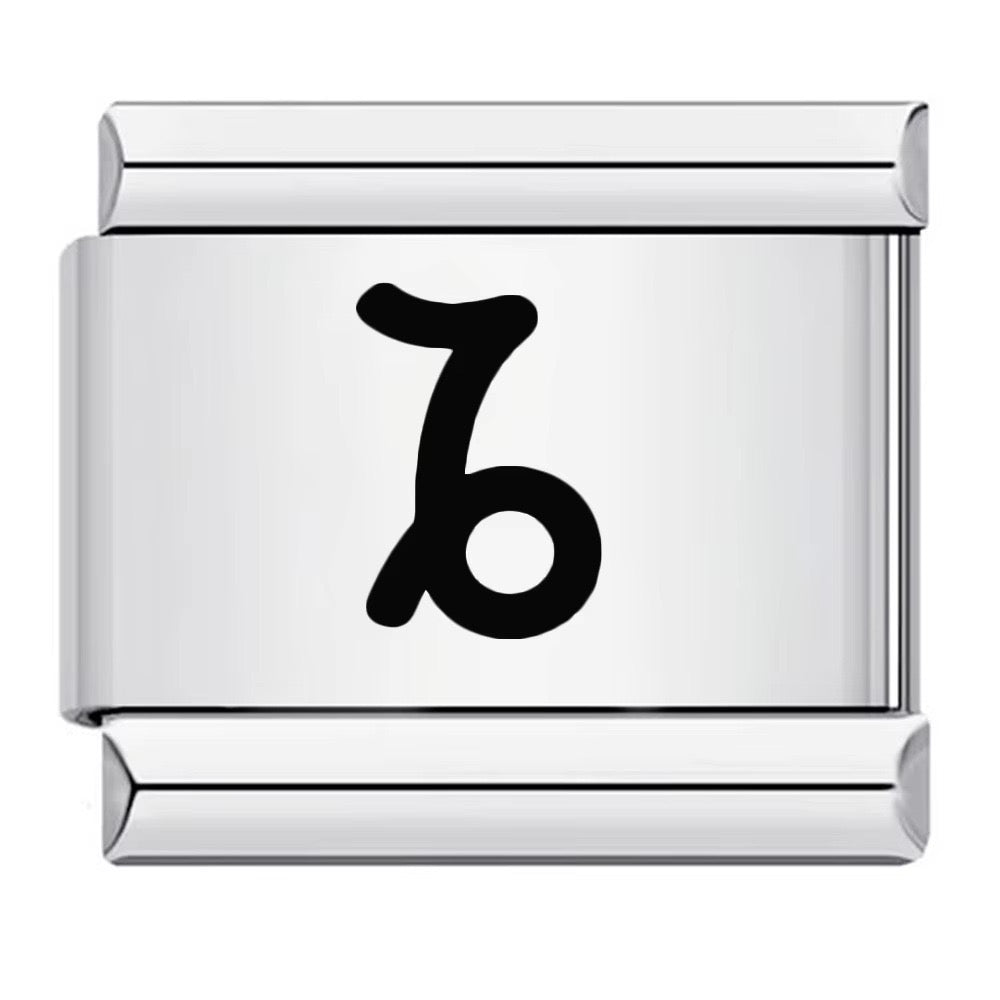 Zodiac Sign Charm