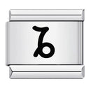 Zodiac Sign Charm