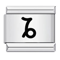 Zodiac Sign Charm