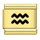 Zodiac Sign Charm