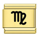 Zodiac Sign Charm