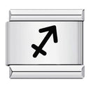 Zodiac Sign Charm