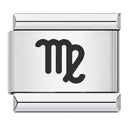 Zodiac Sign Charm