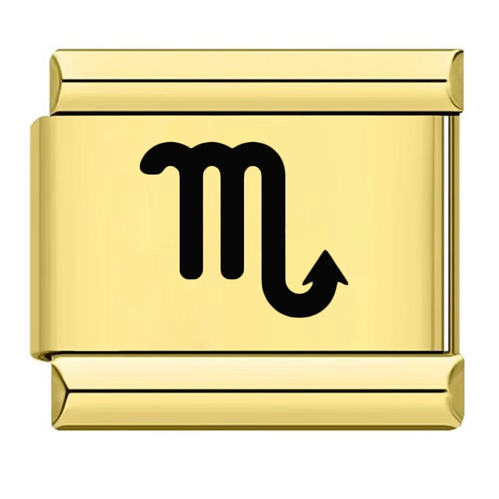 Zodiac Sign Charm