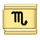 Zodiac Sign Charm
