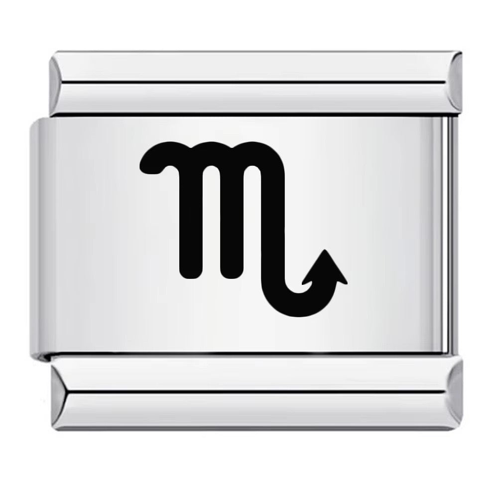 Zodiac Sign Charm