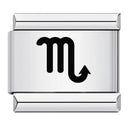 Zodiac Sign Charm